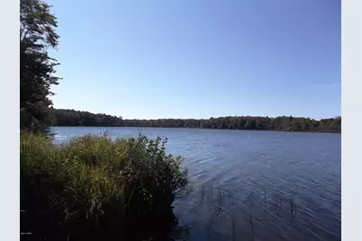 50 Forest Road, Poyntelle, PA 18454 - Photo 42