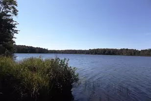 50 Forest Rd, Poyntelle, PA 18454 - Photo 42