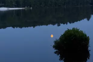 125 Achill Ln, Dingmans Ferry, PA 18328 - Photo 68