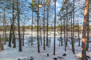 132 N Lk Shr Dr, Dingmans Ferry, PA 18328 - Photo 48