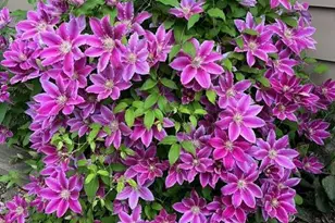 1767 Creek Dr, Waymart, PA 18472 - Photo 64