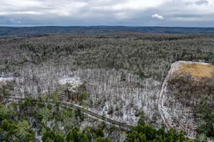 35 Perkins Pond Rd, Beach Lake, PA 18405 - Photo 54