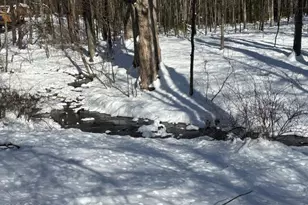 115 Thiel Dr, Dingmans Ferry, PA 18328 - Photo 4