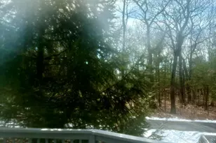 216 Westfall Dr, Dingmans Ferry, PA 18328 - Photo 32