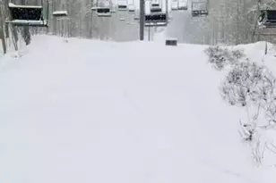 117 Turkey Cir, Lackawaxen, PA 18435 - Photo 74