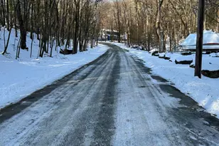 124 St Moritz Dr, Tafton, PA 18464 - Photo 70