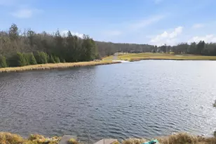 109 Lakeside Dr, Greentown, PA 18426 - Photo 64