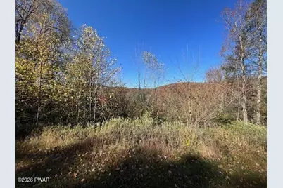 166 Lordville Road, Equinunk, PA 18417 - Photo 2