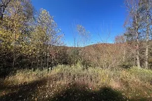 166 Lordville Rd, Equinunk, PA 18417 - Photo 2