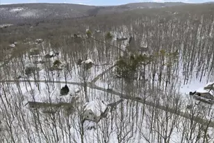 111 Candlewick Way, Lackawaxen, PA 18435 - Photo 82