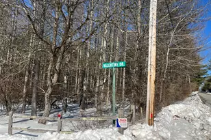 28 Valentine Dr, Hawley, PA 18428 - Photo 84