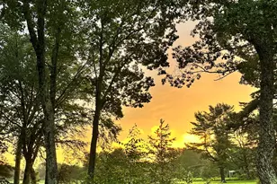 412 Canoe Brook Dr, Lords Valley, PA 18428 - Photo 86