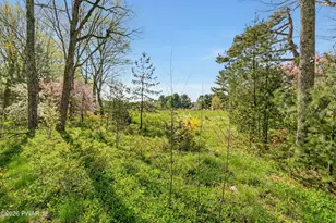 412 Canoe Brook Dr, Lords Valley, PA 18428 - Photo 88