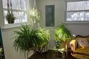 29 Holland Rd, Hawley, PA 18428 - Photo 4