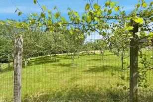 187 Arnolds Rd, Equinunk, PA 18417 - Photo 104