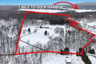 187 Arnolds Rd, Equinunk, PA 18417 - Photo 12