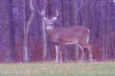 187 Arnolds Road, Equinunk, PA 18417 - Photo 108