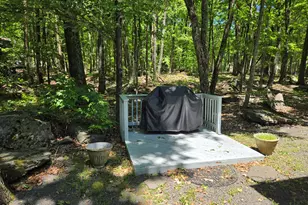 102 Longspur Ln, Lords Valley, PA 18428 - Photo 42
