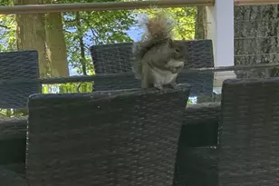 211 Brandyshire Dr, Tamiment, PA 18324 - Photo 34