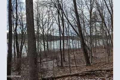 Briarwood Trail, Beach Lake, PA 18405 - Photo 6