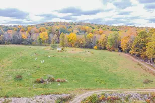 69 E Sterling Rd, Newfoundland, PA 18445 - Photo 50