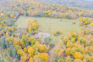 69 E Sterling Rd, Newfoundland, PA 18445 - Photo 52