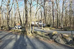 113 Blueridge Ln, Lords Valley, PA 18428 - Photo 4