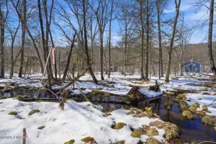 113 Regent St, Bushkill, PA 18324 - Photo 62