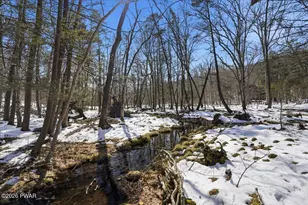 113 Regent St, Bushkill, PA 18324 - Photo 64