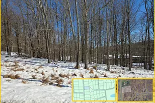 Lot 697 Black Bear Rd, Lake Ariel, PA 18436 - Photo 1