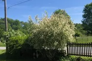 421 Shehawken Rd, Preston Park, PA 18455 - Photo 78