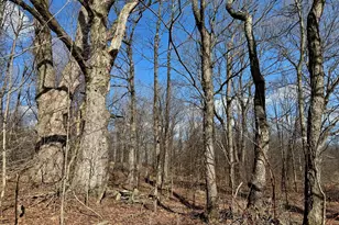 681 Great Bend Turnpike, Pleasant Mount, PA 18453 - Photo 20