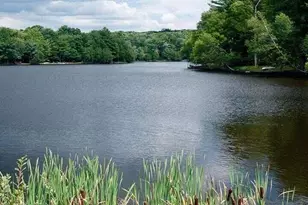 104 Hickory Ln, Greentown, PA 18426 - Photo 36