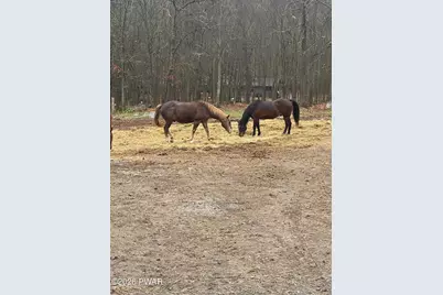 110 Owl Court, Lackawaxen, PA 18435 - Photo 70