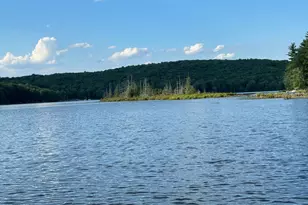 110 Owl Ct, Lackawaxen, PA 18435 - Photo 72