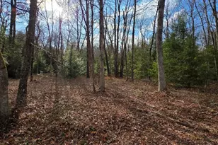 Snowy Ridge, Jim Thorpe, PA 18229 - Photo 22