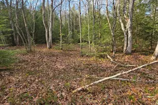 Snowy Ridge, Jim Thorpe, PA 18229 - Photo 2