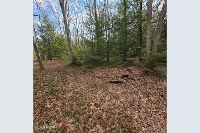 Snowy Ridge, Jim Thorpe, PA 18229 - Photo 8