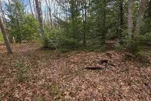 Snowy Ridge, Jim Thorpe, PA 18229 - Photo 8