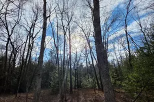 Snowy Ridge, Jim Thorpe, PA 18229 - Photo 20