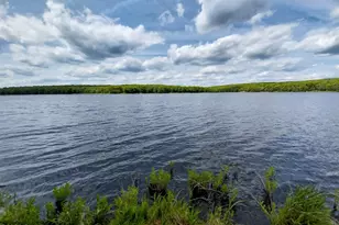 221 W Shore Dr, Hawley, PA 18428 - Photo 2