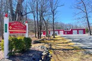 811 Hickory Ct, Lords Valley, PA 18428 - Photo 44