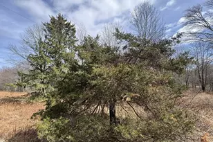 663 Avoy Rd, Lake Ariel, PA 18436 - Photo 8