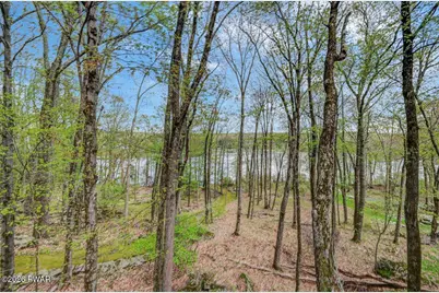 809 Black Birch Court, Lords Valley, PA 18428 - Photo 78