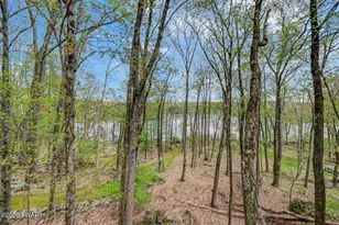 809 Blackbirch Ct, Lords Valley, PA 18428 - Photo 78