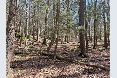 924-927 Hibernation Road, Lake Ariel, PA 18436 - Photo 20