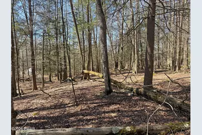 924-927 Hibernation Road, Lake Ariel, PA 18436 - Photo 14