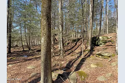 924-927 Hibernation Road, Lake Ariel, PA 18436 - Photo 18