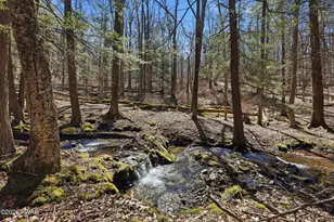 238 Rowland Rd, Greeley, PA 18425 - Photo 2