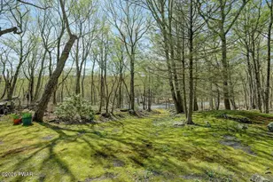 802 Sunrise Ct, Lords Valley, PA 18428 - Photo 64